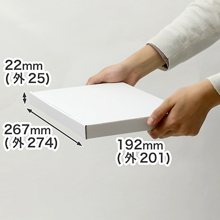 【B5/厚さ2.5cm/表面白】ネコポス対応ダンボール箱