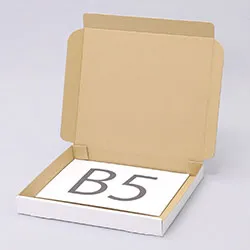 盆ざる梱包用ダンボール箱 | 282×246×32mmでN式簡易タイプの箱