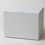 加湿器梱包用ダンボール箱 | 345×245×250mmでB式底組タイプの箱 1