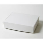 文具梱包用ダンボール箱 | 420×320×95mmでN式額縁タイプの箱 1