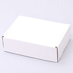 カレー皿梱包用ダンボール箱 | 267×193×88mmでN式額縁タイプの箱 1