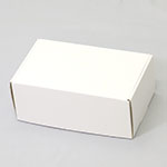 スノーボードゴーグル梱包用ダンボール箱 | 250×150×100mmでN式額縁タイプの箱 1
