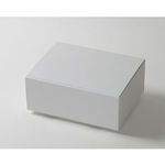 天ぷら鍋梱包用ダンボール箱 | 317×232×125mmでN式差込タイプの箱 1