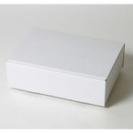 冷凍うなぎ梱包用ダンボール箱 | 350×250×100mmでN式差込タイプの箱 1