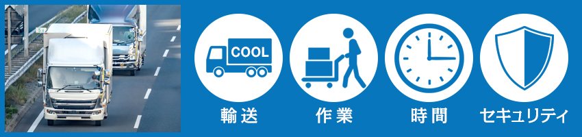 有料オプション