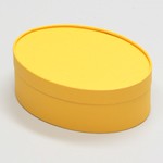 楕円型かぶせ蓋付-Lサイズ黄 1