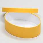 楕円型かぶせ蓋付-Lサイズ黄 2