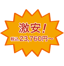 業界最安！税込19,800円～