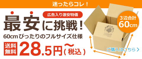 (広告入)宅配60ダンボール箱