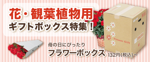 フラワーギフトボックス