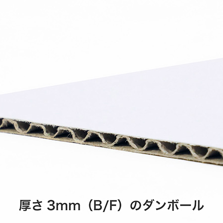 B5/5～ メルチャM(ゆうメール対応)-3