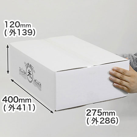 お米10kg用ダンボール箱－宅配100サイズ（白）