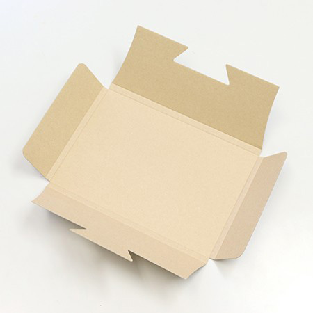 早業封緘DM便対応箱（厚さ1cm）【A5】-8