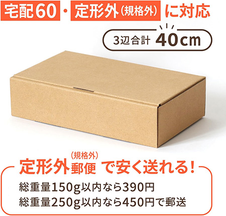 宅配伝票ピッタリ箱40サイズ ホワイト-5