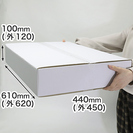 薄型商品の発送・梱包に最適。深さ100mmの表面白色で清潔感のある箱（底面A2サイズ）