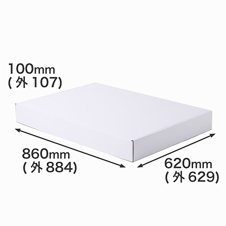 【A1サイズ対応】ギフト用ダンボール箱 860×620×100(白)