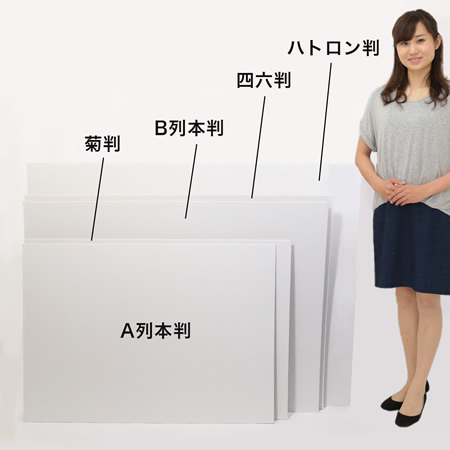 四六判 白 ダンボールシート 板ダンボール 箱の底板や文化祭の飾りとして使える 白 格安価格のダンボール 段ボール 通販 購入 販売なら アース ダンボール