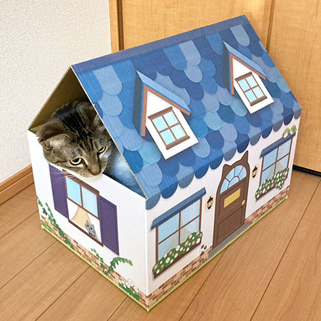 三角屋根の猫の家（青）-7