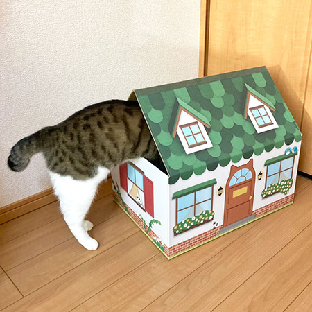 三角屋根の猫の家（緑）-7