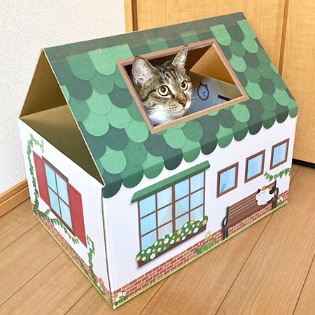 三角屋根の猫の家（緑）-8