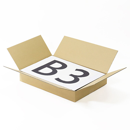宅配100サイズ】B3用紙に対応｜通販商品の発送やお引越しに便利
