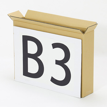 【宅配120サイズ】B3用紙が入るダンボール箱 幅100mm-2