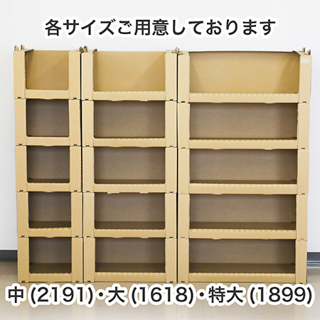 ピッキングボックス(中)-14