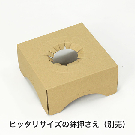 【宅配100サイズ】お花・観葉植物 発送用ダンボール箱-11