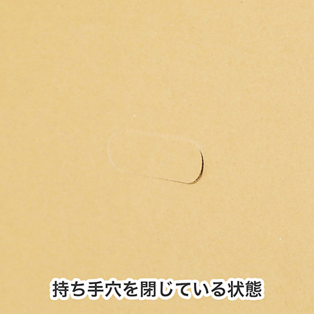 【宅配100サイズ】お花・観葉植物 発送用ダンボール箱-8