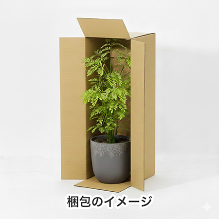 【宅配140サイズ】横長ダンボール箱 正方形タイプ 800×280×280-7