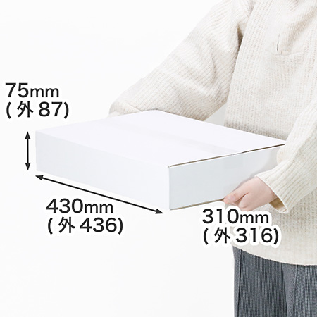 【宅配100サイズ】A3用紙対応 浅型ダンボール箱（白）-1