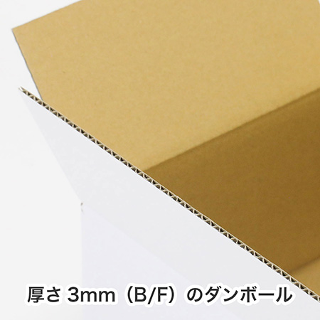 【宅配100サイズ】A3用紙対応 浅型ダンボール箱（白）-9
