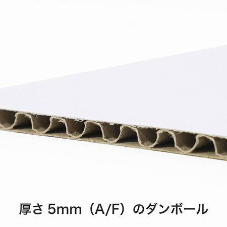 ピッキングボックス・ホワイト(大)-5