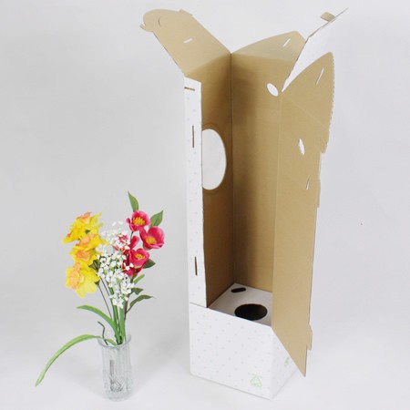 小型洋蘭に最適な取っ手付きお花宅配箱(鉢押え付き)