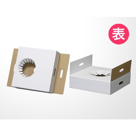[G-9]宅配・ギフト特大フラワーBOX(鉢押え付)-4