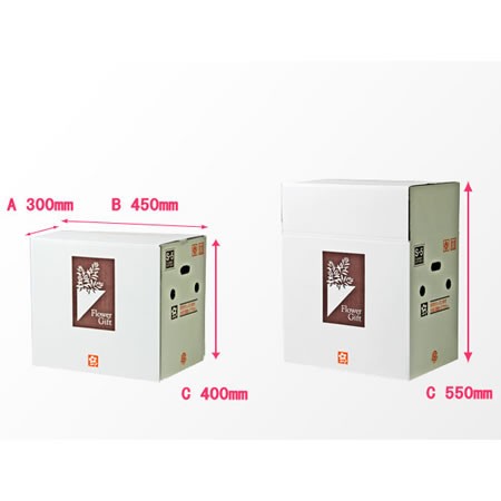 [S-5]高さ可変式140サイズフラワーBOX(鉢押え付)