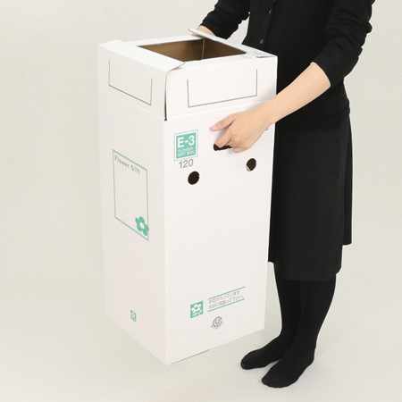 【E-3(120)】5～6寸鉢物用フラワーギフトボックス(鉢押え付)-5