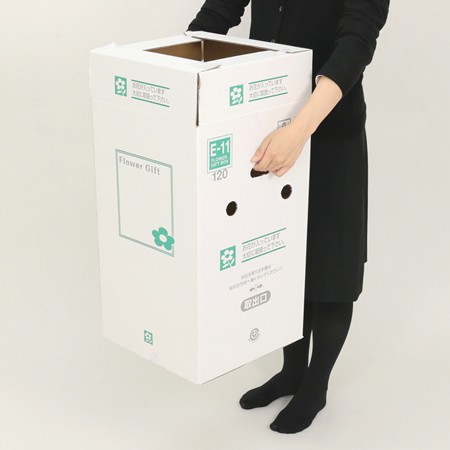 【E-11(120)】5～6寸鉢物用フラワーボックス(鉢押え付)-5