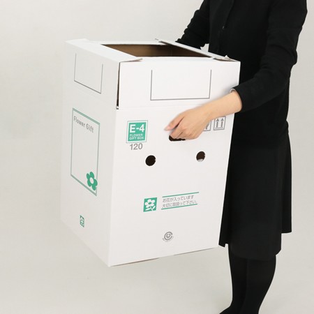 【E-4(120)】6～7寸鉢物用フラワーギフトボックス(鉢押え付)-5