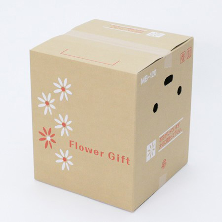 【MB-120(茶)】6～7寸鉢物用フラワーギフトボックス(鉢押え付)-3