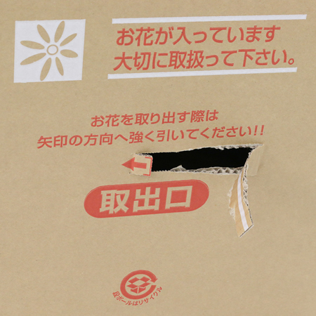宅配140サイズ】宅配140/160サイズで送れる花柄模様の手穴付き 宅配140サイズ】宅配140/160サイズで送れる花柄模様の手穴付き