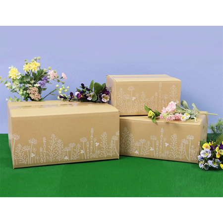 【宅配50サイズ】デザインダンボール箱（花さんぽ）まとめ買い-3