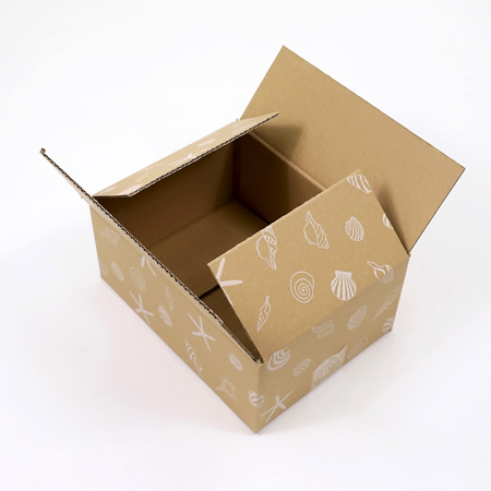 【宅配60サイズ】デザインダンボール箱（海びより）まとめ買い-5