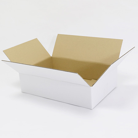 【宅配80サイズ】白ダンボール箱 浅型タイプ B4サイズ対応 まとめ買い-4