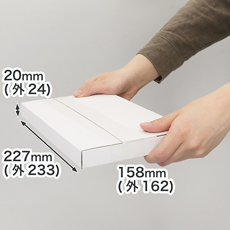 まとめ売り(200枚)お得なまとめ買い。【A5/厚さ2.5cm/表面白】ネコポス