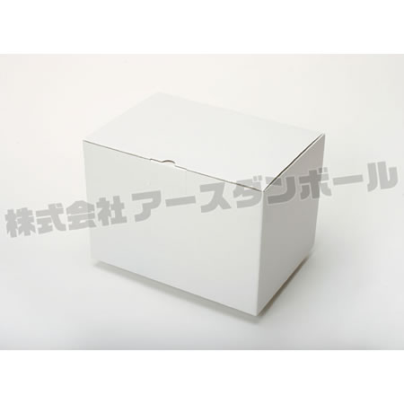 296×206×204(B式底組箱ロック付)(白)-2