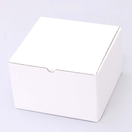 220×220×140(B式底組)(白)-2