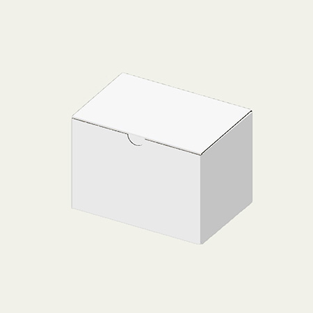 149×101×100(B式ワンタッチ)(白)-2