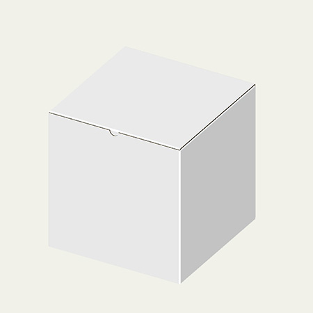295×295×300(B式ワンタッチ)(白)-2