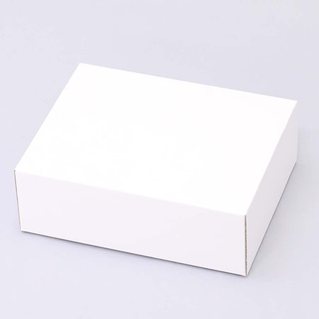 225×168×84(C式)(白)-2